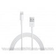 Кабель Apple Lightning to USB 2.0 (0.5 m, for iPod/ iPhone) (ME291ZM/A) фотография