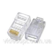 Коннектор RG-45 фото