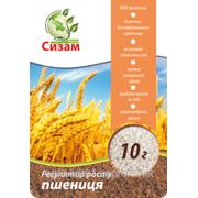 Регулятор роста "Сизам-Нано" для пшеницы.