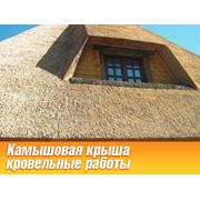 Крыша камышовая Крыша камышовая купить Украина фото