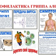 Плакат Профилактика ГРИППа К.12 фото