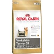 ROYAL CANIN Yorkshire Terrier 28 Adult 0,5 кг Корм для собак породы Йоркширский терьер старше 10 месяцев фото