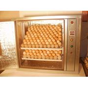 Инкубационно-выводной инкубатор инкубатор бытовой Best- 200 бытовые инкубаторы для яиц фото