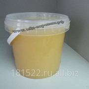 Мёд липовый (местный) 1,4кг. фото