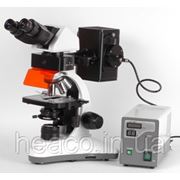 MC 300X FS - Флуоресцентный микроскоп фотография