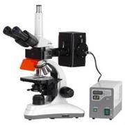 MC 300X FS - Флуоресцентный микроскоп фотография
