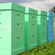 Изготовление кассетных павильонов для пчёл. фотография