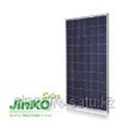 Солнечная батарея “Jinko“ фото