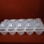 Пластиковый контейнер для яиц П-12 “Десятка“ фото