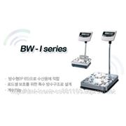 Весы платформенные пыле-влагозащитные BW-60 CAS (Южная Корея) фото