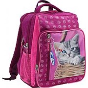 Школьный рюкзак Bagland 'Школьник' розовый с котом фото