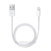 APPLE LIGHTNING TO USB CABLE 0.5M фото
