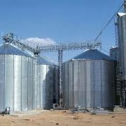 Зерноперерабатывающие комплексы на экспорт из Казахстана, Зерноперерабатывающие комплексы