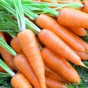 Морковь. фото