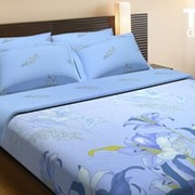 Комплект постельного белья (КПБ) TOP Dreams - Цветок орхидеи