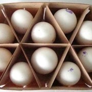 Упаковка для яиц из шпона фото