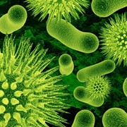 Очистка воды от бактерий, вирусов, паразитов фото