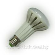Лампа светодиодная LED-R63-econom 8Вт фото