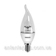 Светодиодная LED лампа Maxus 4Вт, 5000К, Е14, LED-332 C37 CT-C фото