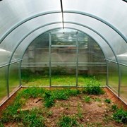 Теплица СИБИРСКАЯ сварная Премиум 6м труба 40-ка фото