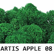 Стабилизированный мох. Цвет Artis Apple 08