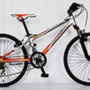 Велосипед BARRACUDA 1109, 24 обода, горный, рама алюминий, одноподвесный фотография