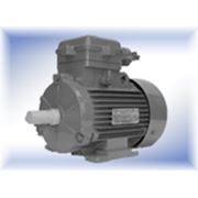 Электродвигатель взрывозащищенный АИММ160S4 фото