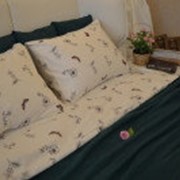 Комплект постельного белья 1,5 ФЛАНЕЛЬ “Бабочки“ фото
