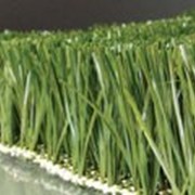 Трава искусственная для футбольных полей фотография