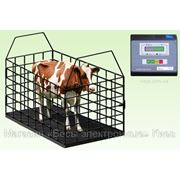 Весы для взвешивания животных Подробно: http://unipro.com.ua