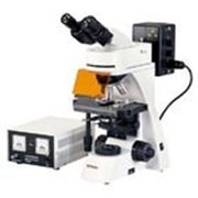 Профессиональный флуоресцентный микроскоп ADL-601F фото