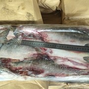 Рыба Горбуша ПБГ Камчатка фото
