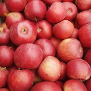 Продукты для здоровья яблоки сорта "Флорина"