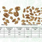 Орехи грецкие в ассортименте: Целые Половинки Четвертинки Микс Восьмушки Крошка фото
