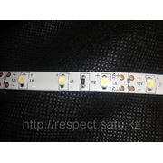 LED лента SMD 3528 фото