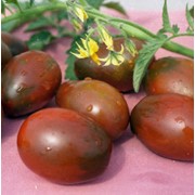 Семена томатов. Томат Де барао черный фото