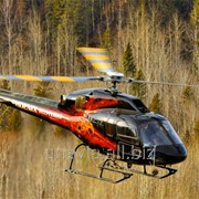 Вертолет AS355 NP Ecureuil фото