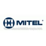 Mitel DUAL T1|E1 TRUNK MMC (50003560) фотография