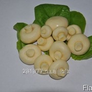 Сыр Сулугуни грибочки фото