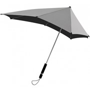 Зонт Totes
