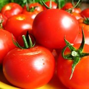 Помидоры, томаты свежие, продажа, АР Крым фотография