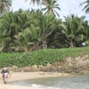 Однодневный приключенческо-развлекательный мототур по Доминиканской глубинке