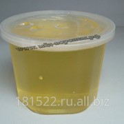 Мёд сотовый секционный в рамке 350гр±50гр. фотография