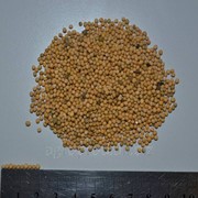 Семена горчицы белой, 1 кг фото