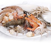 Морепродукты, креветки, кальмары, лобстеры, осьминоги фото