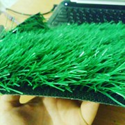 Искусственная трава фото