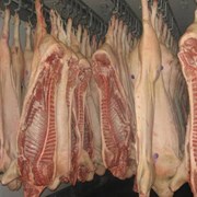 Мясо свинины  цена Одесса