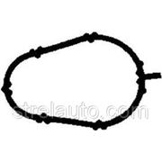 Прокладка впускного коллектора Doblo 1.2i 8v 2000-2005/Punto II 1.2 8v