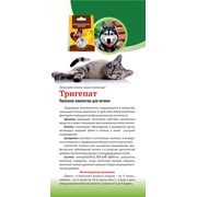 Тригепат - полезное лакомство для печени кошек и собак фото