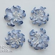 Цветы кудрявой фиалки (2 шт - d 5 см, 2 шт- d 4,2 см), сине-белые фотография